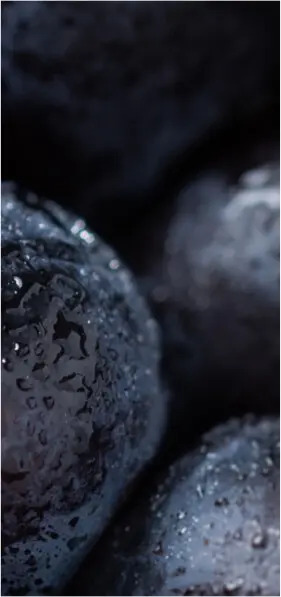 wine3